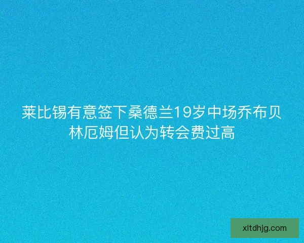 莱比锡有意签下桑德兰19岁中场乔布贝林厄姆但认为转会费过高