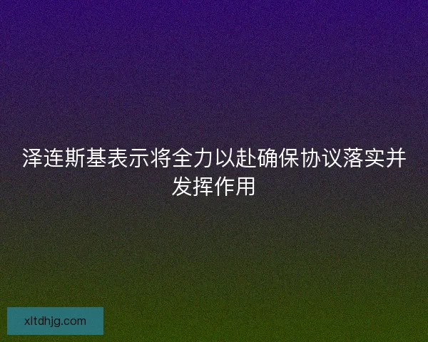 泽连斯基表示将全力以赴确保协议落实并发挥作用