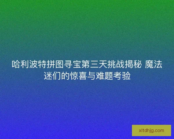 哈利波特拼图寻宝第三天挑战揭秘 魔法迷们的惊喜与难题考验