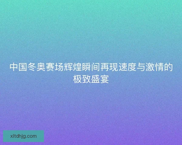 中国冬奥赛场辉煌瞬间再现速度与激情的极致盛宴
