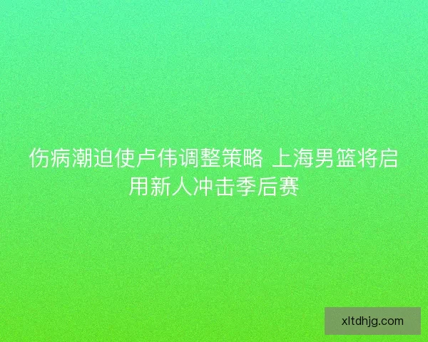 伤病潮迫使卢伟调整策略 上海男篮将启用新人冲击季后赛