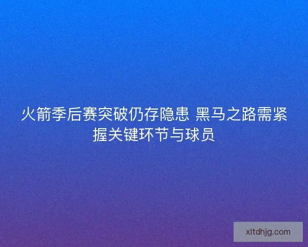 火箭季后赛突破仍存隐患 黑马之路需紧握关键环节与球员